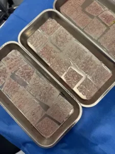 Préparation des greffons